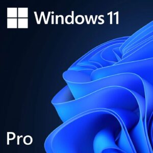 Microsoft Windows 11 Pro